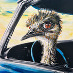 Noodle the Emu- To benefit feeding and care of Noodle and the rest of our rescues