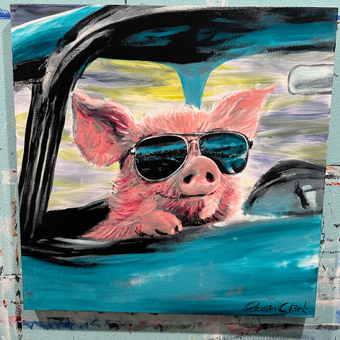Piggie goes for a drive- To benefit feeding and care of Piggie and the rest of our rescues