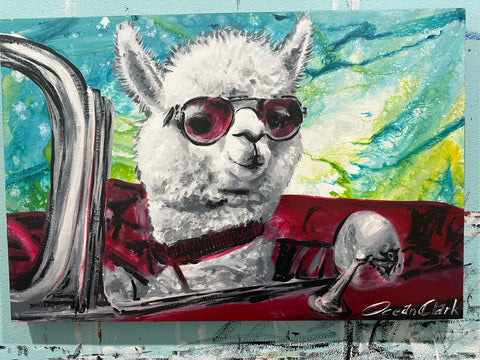Alpaca on the run- To benefit feeding and care of our 100+ animal rescues