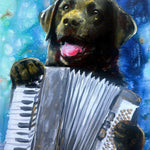 Black Labrador Playing Accordion Print